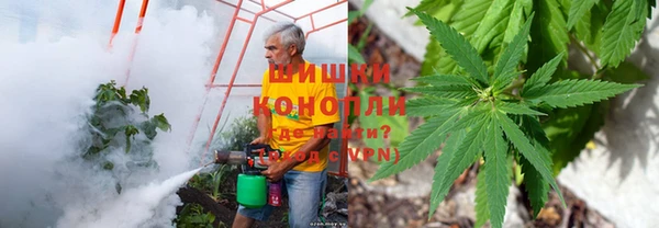 каннабис Арсеньев