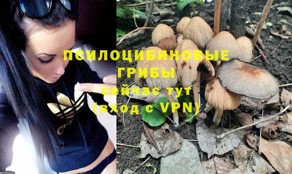 дурь Аркадак