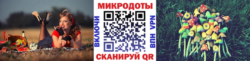 Галлюциногенные грибы Psilocybe  мега зеркало  Пошехонье  где продают наркотики 